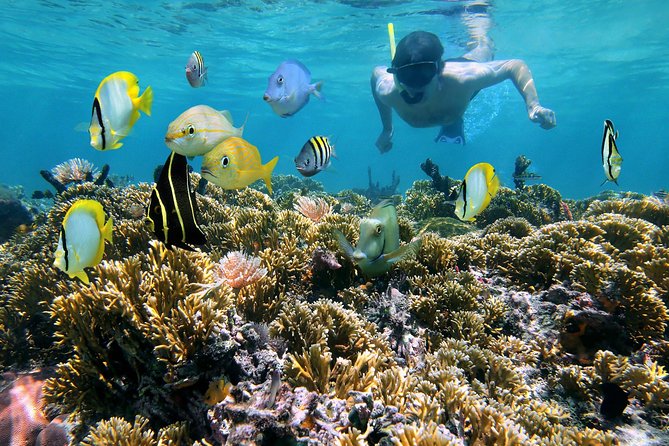 St Thomas~St John Snorkel, Swim & Beach Trip on MV Island Flyer - Key highlights worth caring about