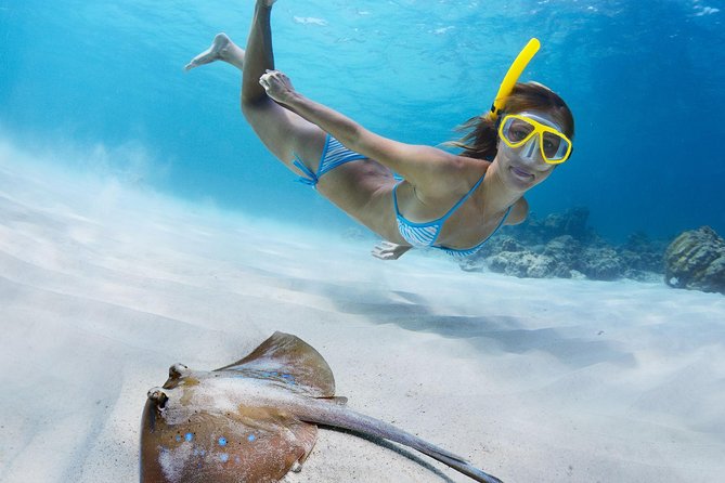St Thomas~St John Snorkel, Swim & Beach Trip on MV Island Flyer - Snorkeling Stops Around St. John and Nearby Cays