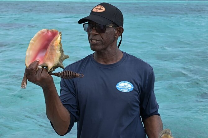 Stingray City and Snorkel Tour With Lunch - Snorkeling at Coral Gardens and the Barrier Reef: Expect Fish, Coral, and Short Stops