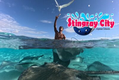 Stingray City and Starfish Experience with Coral Reef Snorkeling - How the 3.5-Hour Route Fits Your Port Day (and Why the Earliest Tour Helps)