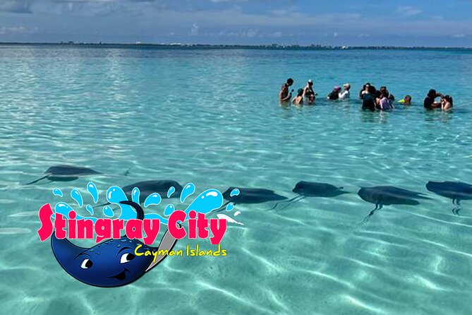 Stingray City and Starfish Experience with Coral Reef Snorkeling - Stop 3: Starfish Point Shallow Water—A Kid-Friendly Stop That Still Delivers