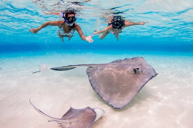 Stingray City and Starfish Experience with Coral Reef Snorkeling - Boat, Gear, and Crew: What’s Included and Why It Saves You Time