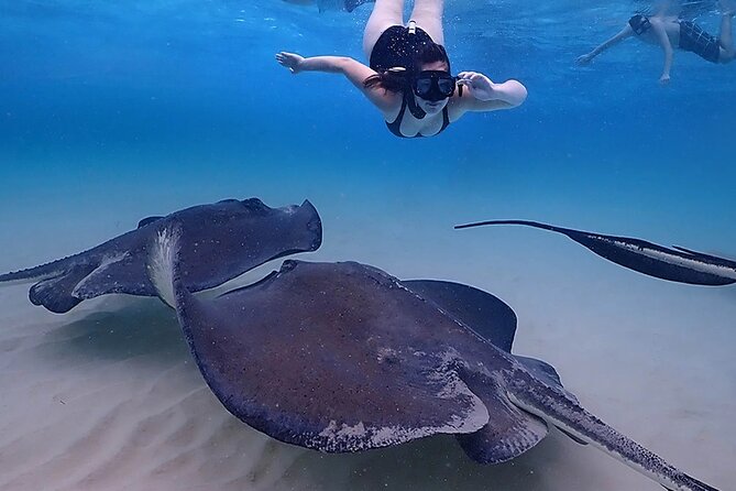 Stingray City and Starfish Experience with Coral Reef Snorkeling - Comfort and Safety Notes: Life Jackets, Respectful Swimming, and Choppy Water Reality