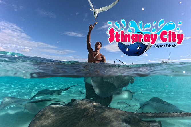 Stingray City and Starfish Experience with Coral Reef Snorkeling - How the 3.5-Hour Route Fits Your Port Day (and Why the Earliest Tour Helps)