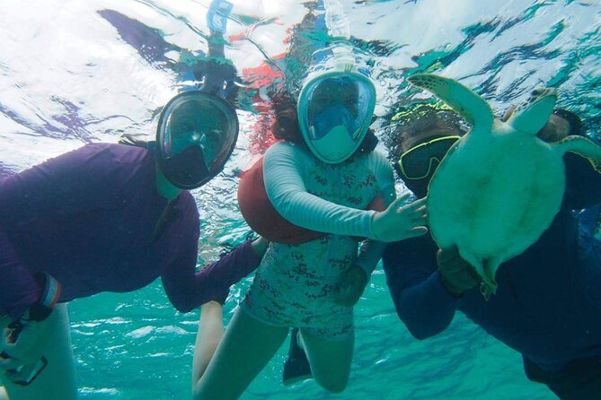 Stingray City Experience Plus One Snorkeling Stop - What to Bring and How to Prep for the Water