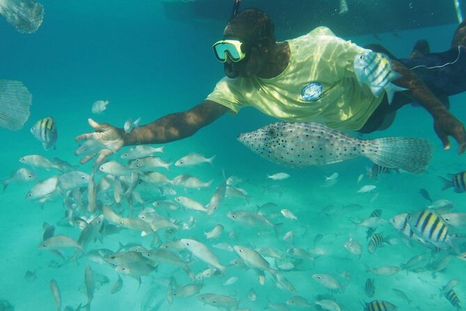 Stingray City Experience Plus Two Snorkeling Stops on Grand Cayman - Coral Gardens Snorkel Stop: Great for First Looks