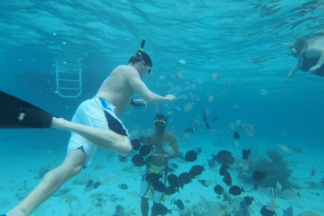 Stingray City Experience Plus Two Snorkeling Stops on Grand Cayman - How the Timing Works on Island Time (And Why It Matters)