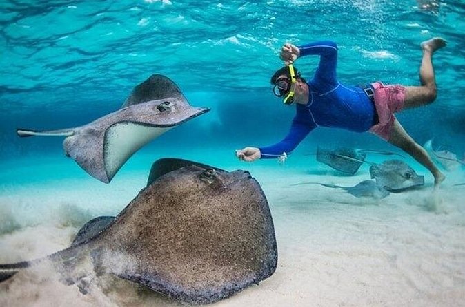 Stingray City Sandbar, Coral Gardens Snorkeling & Star Fish Point - Boat rides and the timing that keeps you from feeling rushed
