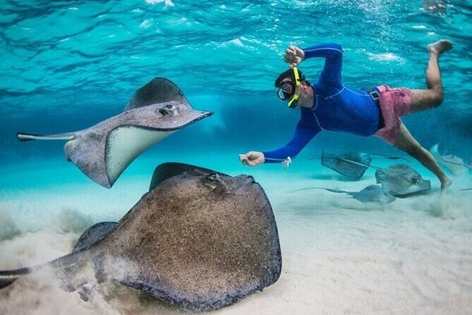 Stingray City Sandbar, Coral Gardens Snorkeling & Star Fish Point - Getting to the action: Royal Watler pickup, short shuttles, and check-in