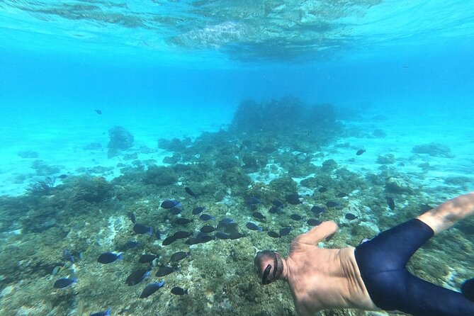 Stingray City, Star fish Point and Snorkeling Private Boat Tour - Snorkeling stops between the main attractions
