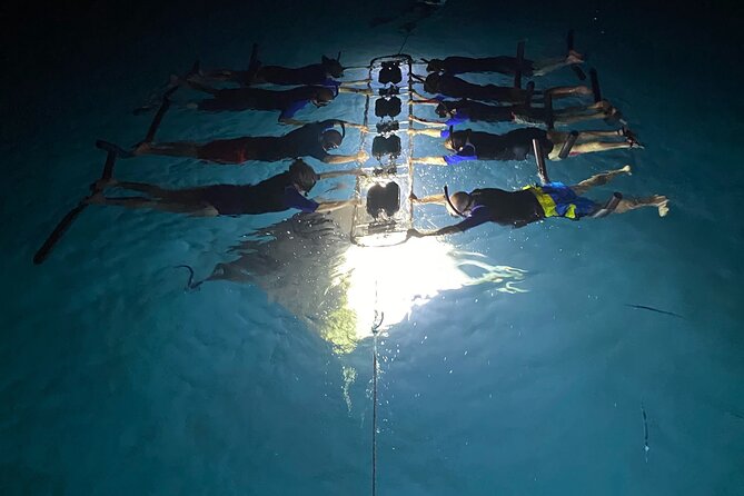 Sunset and Manta Ray Snorkel Adventure - Who should book this (and who should think twice)