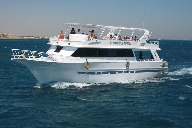 Swimming with Dolphin VIP Snorkeling Sea Trip With Lunch and Transfer - Hurghada - Price and value: why $9 can feel almost too good, plus the add-ons