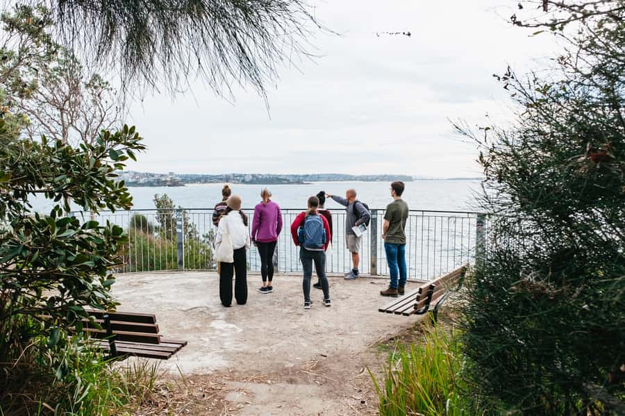 Sydney: Manly and Shelly Beach Snorkeling Tour - Key highlights you’ll actually notice
