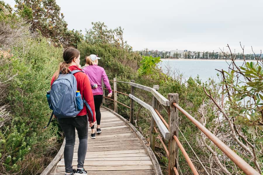 Sydney: Manly and Shelly Beach Snorkeling Tour - Who should book this Manly snorkeling tour (and who should skip it)