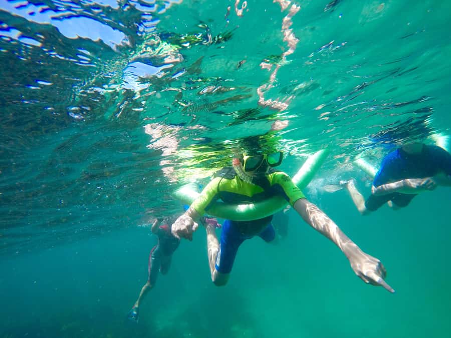 Sydney: Manly and Shelly Beach Snorkeling Tour - The headland walk above Shelly Beach: views plus quick nature context
