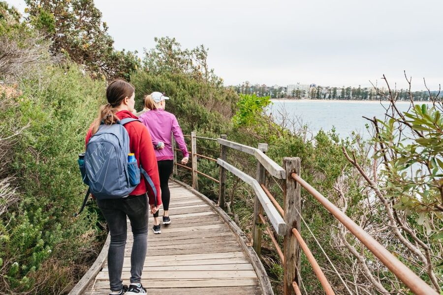Sydney: Manly and Shelly Beach Snorkeling Tour - Safety and gear: how the guide helps you get comfortable fast