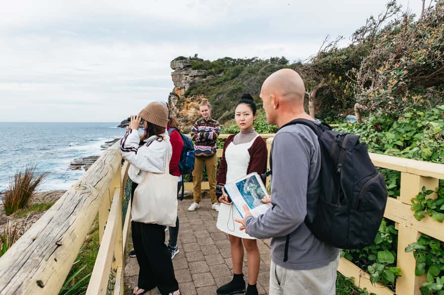 Sydney: Manly and Shelly Beach Snorkeling Tour - Price and value: what $77 buys you in the real world