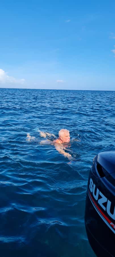 Tamarin: Dolphin Snorkel, CrystalRock, ile o Benitiers Lunch - The day’s rhythm: how to manage time on a speedboat + in the water