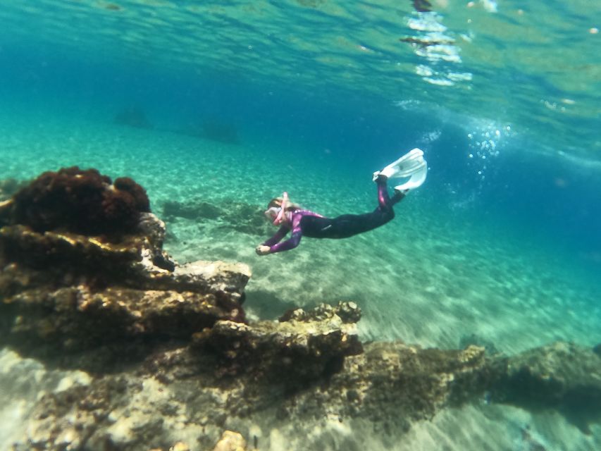 Tenerife: Half-Day Snorkeling Tour - Key things to know before you go
