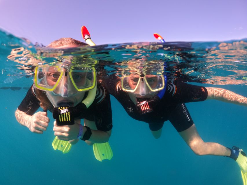 Tenerife: Half-Day Snorkeling Tour - Gear and instruction: why this tour works for first-timers