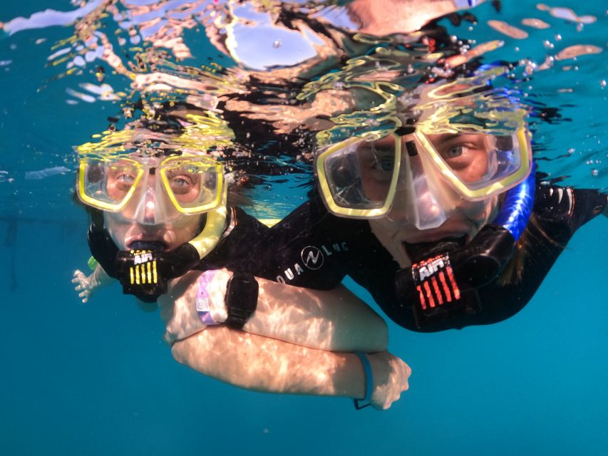 Tenerife: Half-Day Snorkeling Tour - Small group (max 6): the hidden advantage