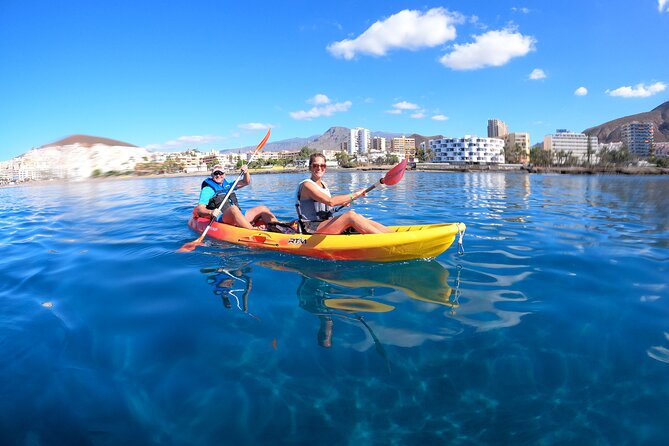 Tenerife: Kayak and snorkel with marine life safari - The Marine Life Safari Mindset: dolphins, turtles, and the art of not forcing it