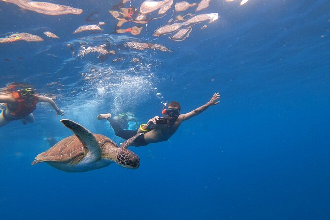 Tenerife: Kayak and snorkel with marine life safari - Snack time, drinks, and the photo question you should ask up front