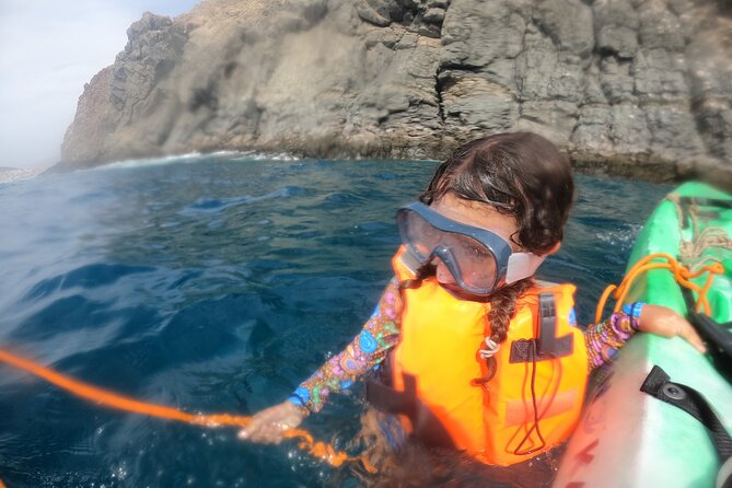 Tenerife: Kayak and snorkel with marine life safari - Who this kayaking and snorkeling safari fits best