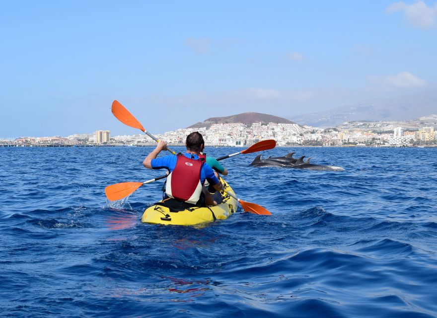 Tenerife: Kayak and Snorkel with Turtles, Wetsuits Included - Price and Value: Why $35 Can Make Sense Here