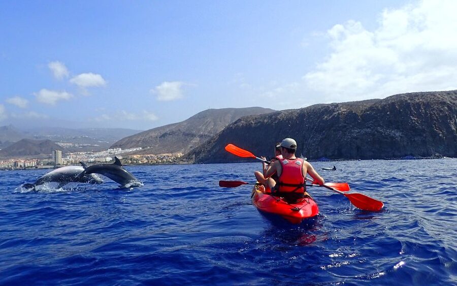 Tenerife: Kayak and Snorkel with Turtles, Wetsuits Included - Who This Tour Fits (And Who Should Skip It)