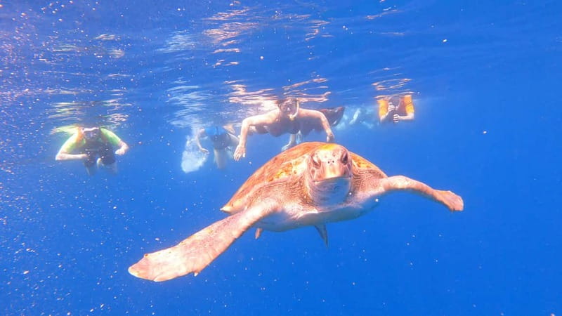 Tenerife: Kayak and Snorkeling Tour with Photos - 2.5 Hours on the Atlantic: What the Paddle Actually Feels Like