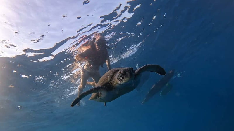 Tenerife: Kayak and Snorkeling Tour with Photos - Snorkeling Coaching Near a Sea-Only Island Spot