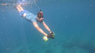 Tenerife: Kayak and Snorkeling Tour with Photos - Wildlife Moments: Turtles, Dolphins, and the Real Work of Spotting