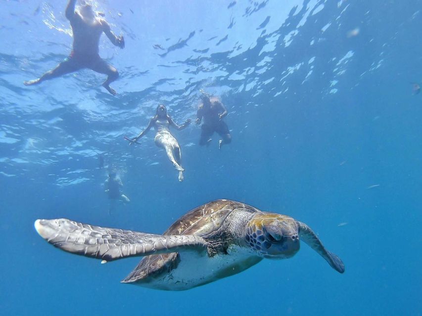 Tenerife: Kayak Safari and Snorkel in a Marine Reserve - Comfort, safety, and whether you’ll handle the water time