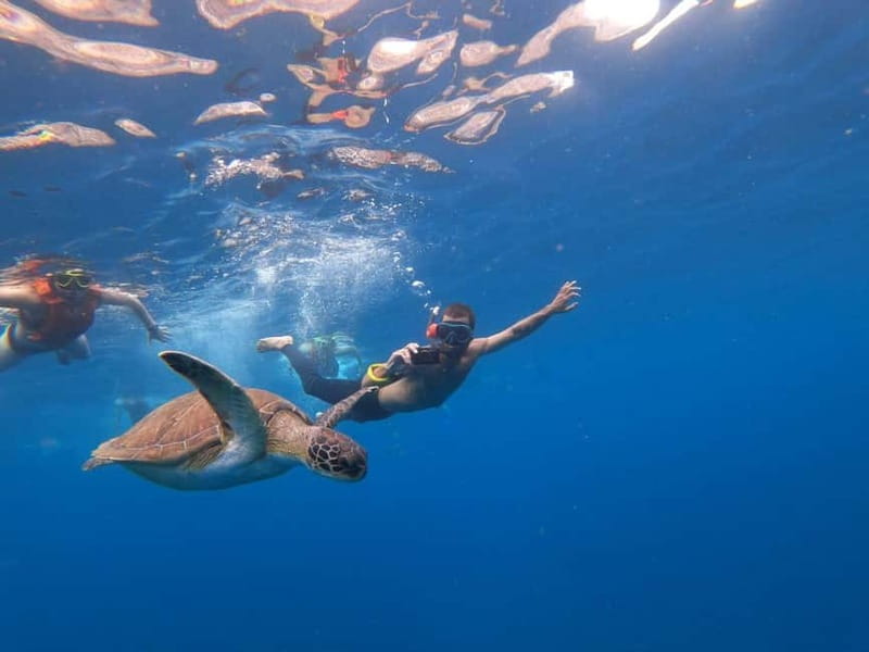 Tenerife: Kayak Sea Safari with Snorkel and Snacks - Paddling the cliffs: the part that makes the tour worth it