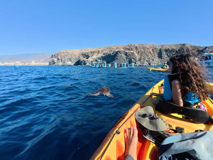 Tenerife: Kayak Sea Safari with Snorkel and Snacks - Wildlife spotting: what to expect (and what to let go of)