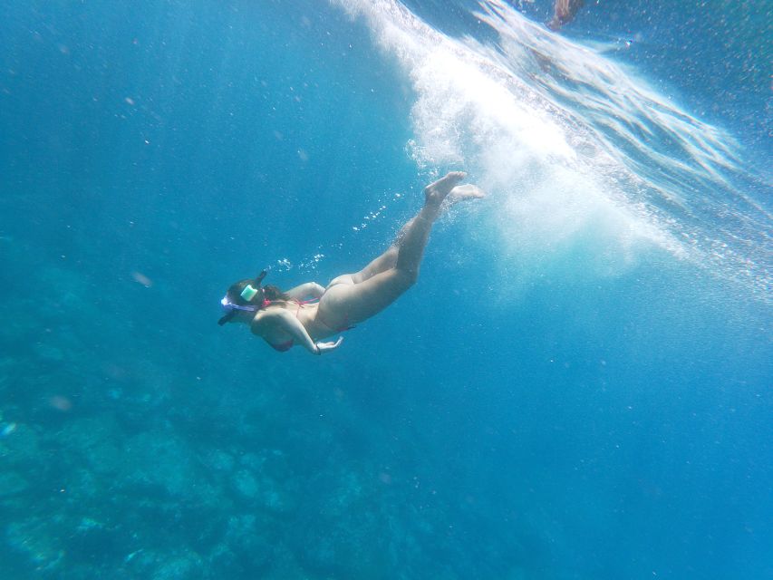 Tenerife: Kayak & Snorkel with Local Fauna, Photos Included - Snorkeling in the cave zone: what to expect underwater