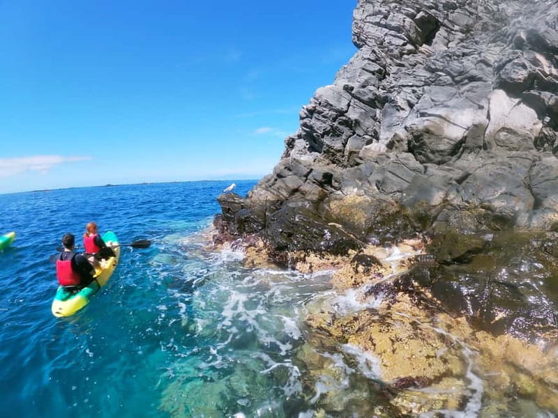 Tenerife: Kayak & Snorkel with Local Fauna, Photos Included - The return kayak: why the last paddle feels different