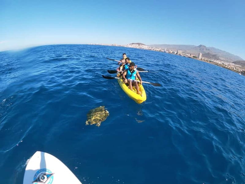 Tenerife: Kayak & Snorkel with Local Fauna, Photos Included - Photos, videos, showers, and the real value of this $36 price