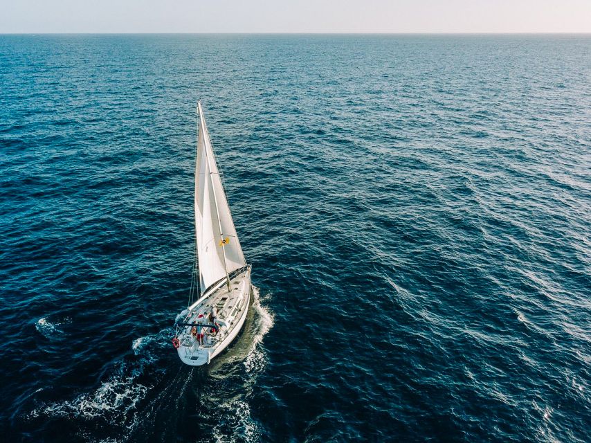 Tenerife: Sailboat Tour Whale Watching Food and Snorkeling - Key points to know before you go
