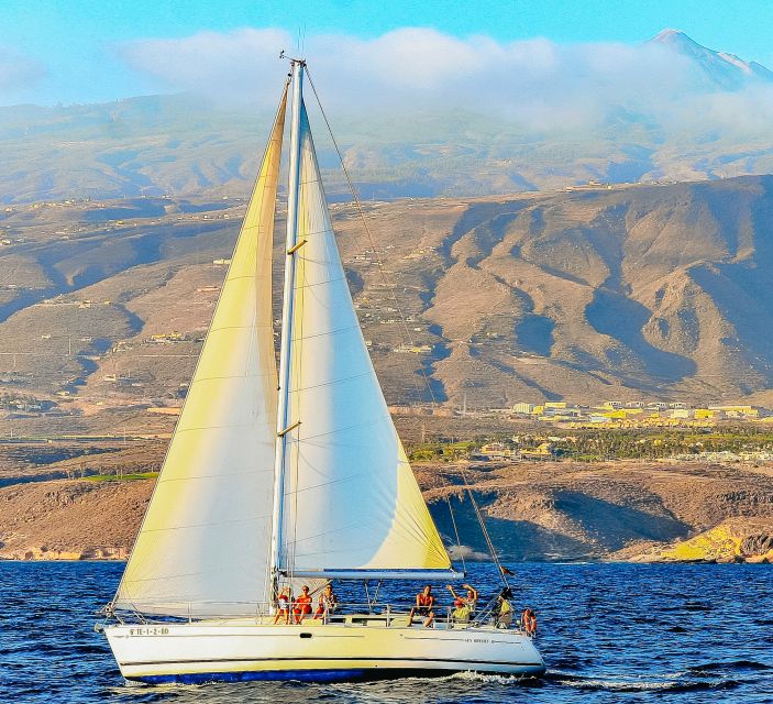 Tenerife: Sailboat Tour Whale Watching Food and Snorkeling - The snorkeling stop: warm water swim time with real equipment
