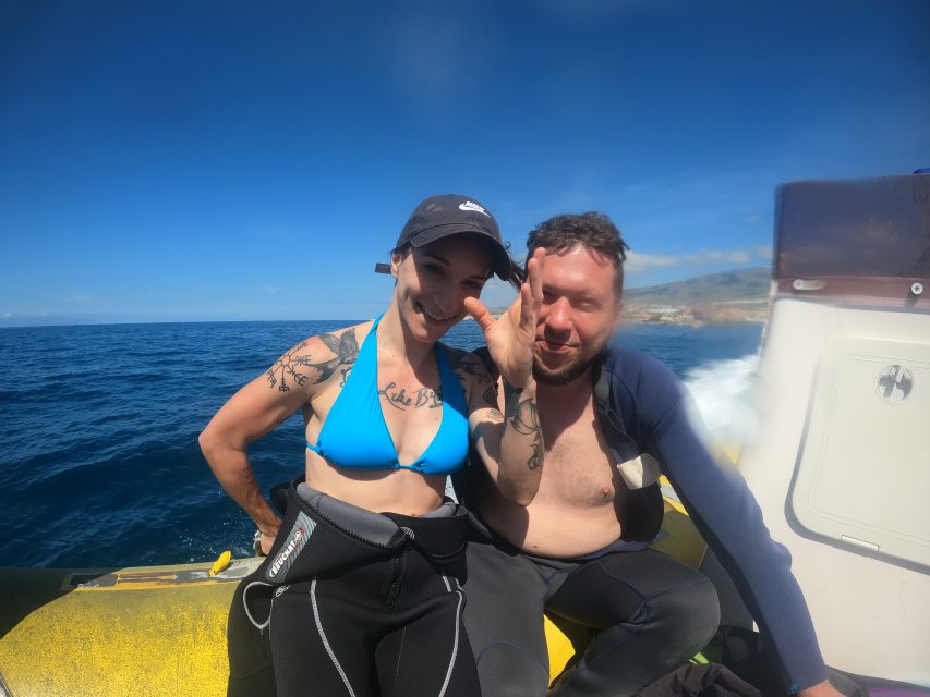 Tenerife Snorkeling boat trip in a Turtle Habitat - What You Might See: Turtles, Rays, Dolphins, and the Rest of the Aquarium
