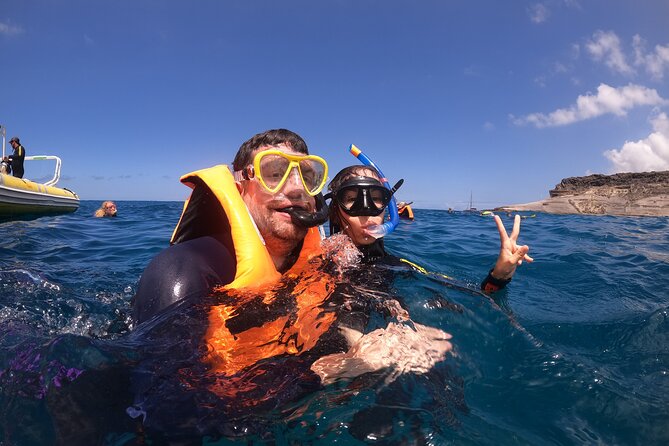 Tenerife Snorkeling Tour in turtle habitat - Turtle habitat snorkeling in Tenerife: what this trip is really like