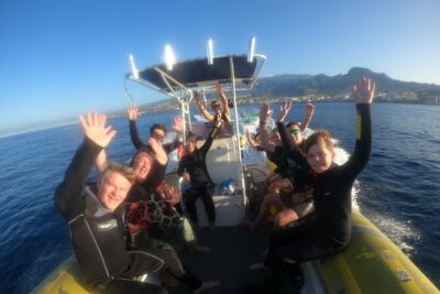 Tenerife Snorkeling Tour in turtle habitat - Meeting at the PADI 5 Travel Sub center: quick admin, then ocean time