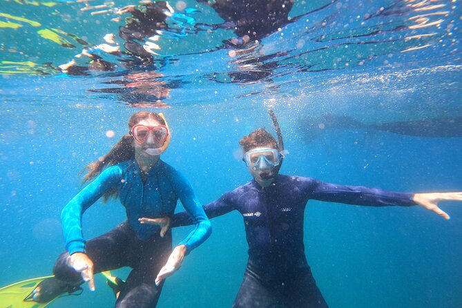 Tenerife Snorkeling Tour in turtle habitat - El Palm-mar snorkeling: how the water time plays out
