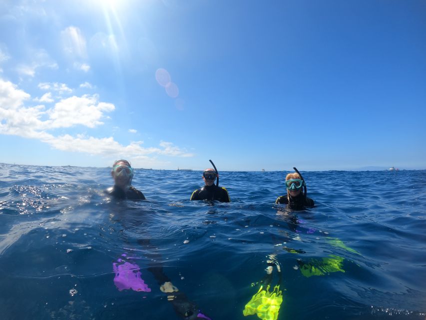 Tenerife: Snorkeling Trip in a Turtle Habitat - Stop 3: Speedboat Ride Out (Atlantic Views and Wildlife Chances)