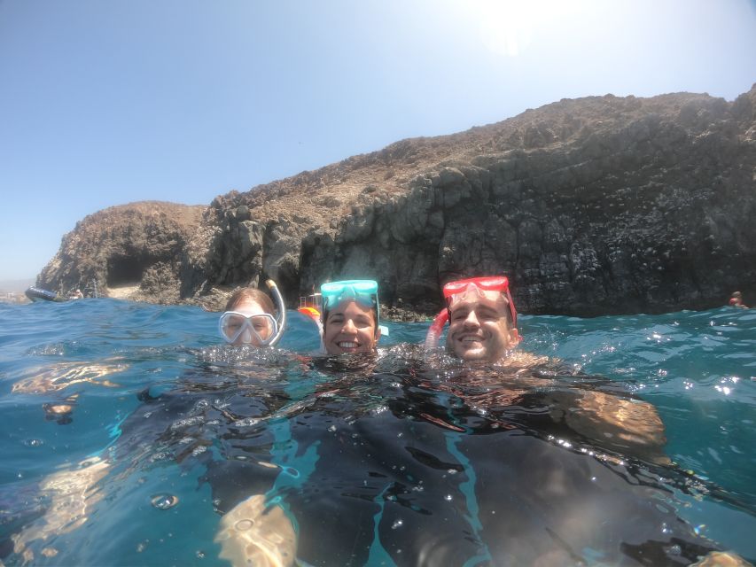 Tenerife: Snorkeling Trip in a Turtle Habitat - Stop 5: Back on the Boat (A Chance to Keep Watching)