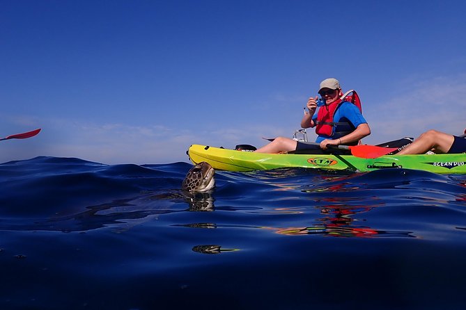 Tenerife: Turtle & Dolphin Kayak Tour with Snorkel & Wetsuit - The snorkel break: when you go in and what to expect