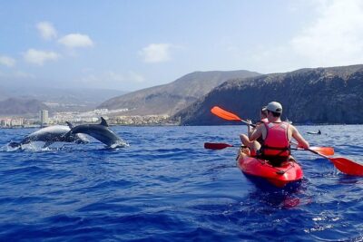 Tenerife: Turtle & Dolphin Kayak Tour with Snorkel & Wetsuit - Dolphin and turtle spotting: the thrill, plus the reality check