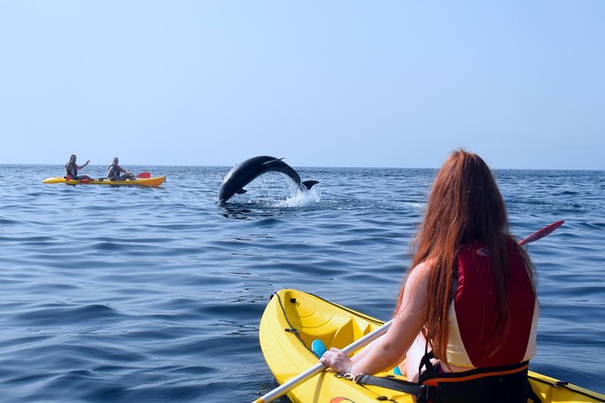 Tenerife: Turtle & Dolphin Kayak Tour with Snorkel & Wetsuit - Price and value: why $42.33 can be a smart buy here